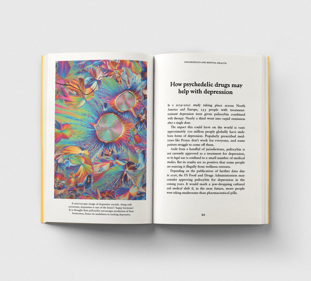 Pre Order: Psychedelics, A Pocket Primer